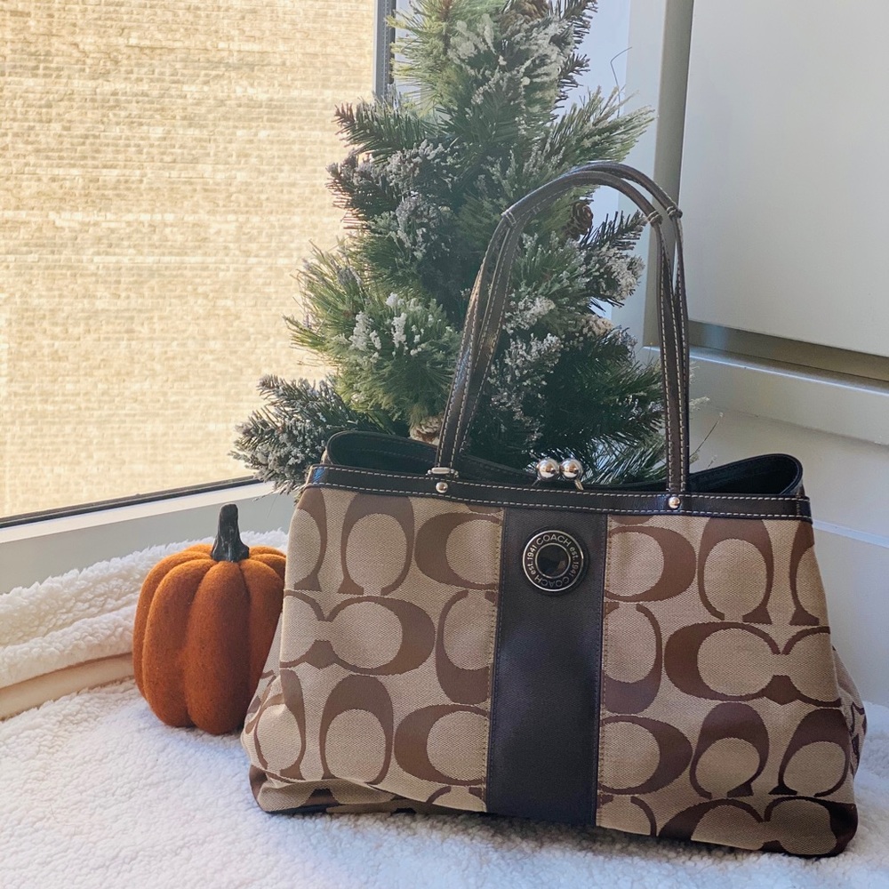Coach F13533 Signature Stripe Frame Carryall